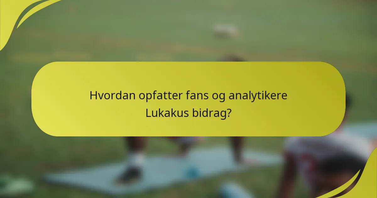 Hvordan opfatter fans og analytikere Lukakus bidrag?